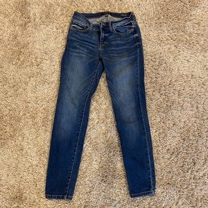 Judy Blue Skinny Jean